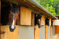 free Bekesbourne stable construction quotes